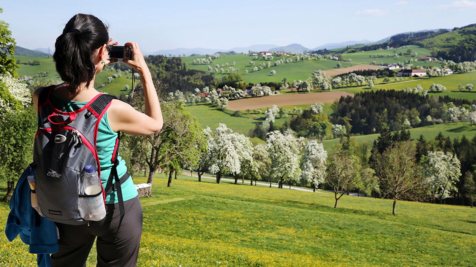 Frau beim Wandern und Fotografieren der Birnbaumblüte