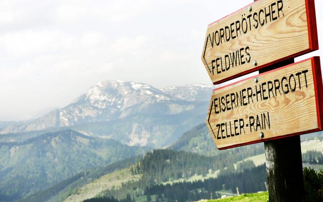 Wegweiser im alpinen Mostviertel
