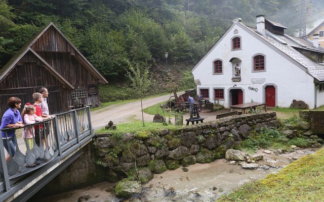 Familienurlaub beim Wandern in Ybbsitz
