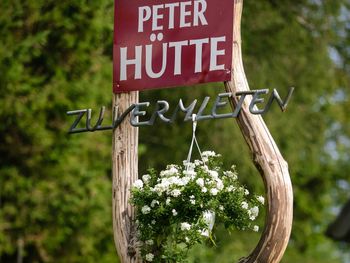 Gregor Peter Hütte - Carinthia  - Austria