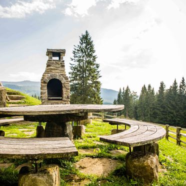 barbecue, Gregor Peter Hütte, Preitenegg, Kärnten, Carinthia , Austria