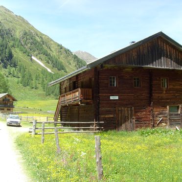 Summer, Unterkofler Almhütte, Außervillgraten , Tirol, Tyrol, Austria