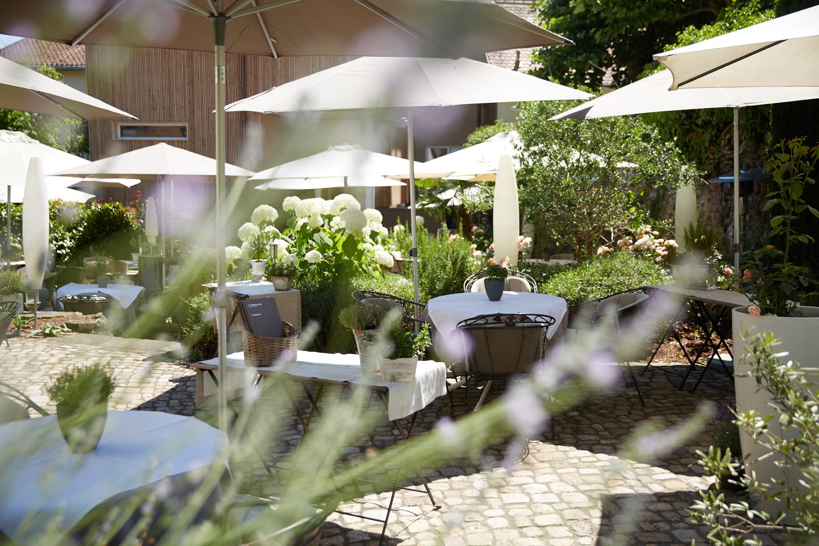 "Sommerfeeling " bester Preis bei Direkt Buchung image 4 - Die Reichsstadt