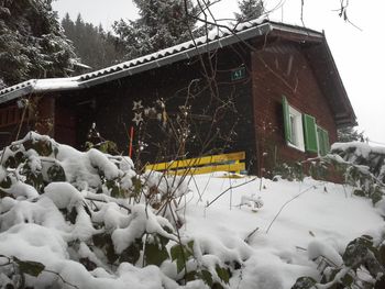 Bärbels Panoramahütte - Styria  - Austria
