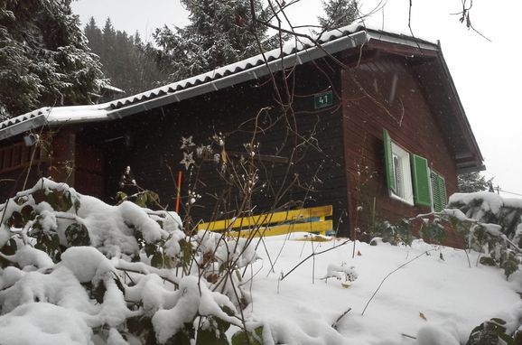 Winter, Bärbels Panoramahütte, Vordernberg, Steiermark, Styria , Austria