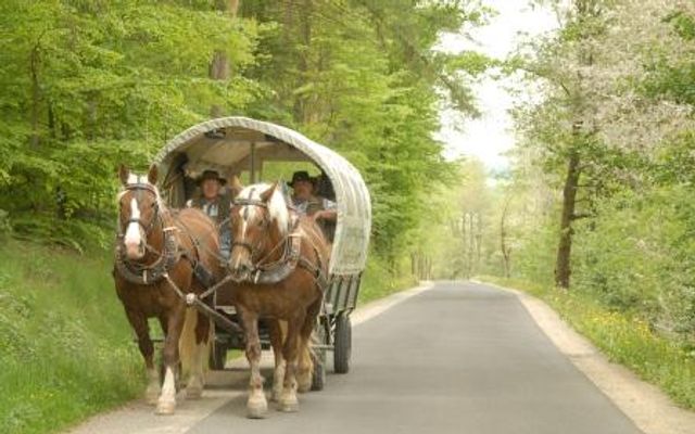 Kutschfahrt (2-6 Personen) - Landgasthof Hessenmühle 