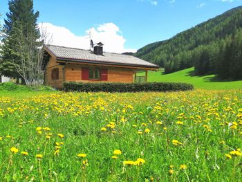 Ausserhof Hütte - Trentino-Südtirol - Italien