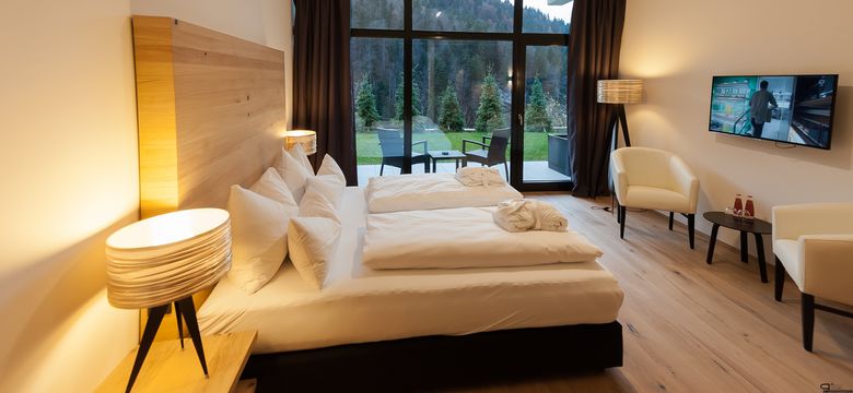 DAS GRASECK - mountain hideaway & health care: Room with terrace image #1