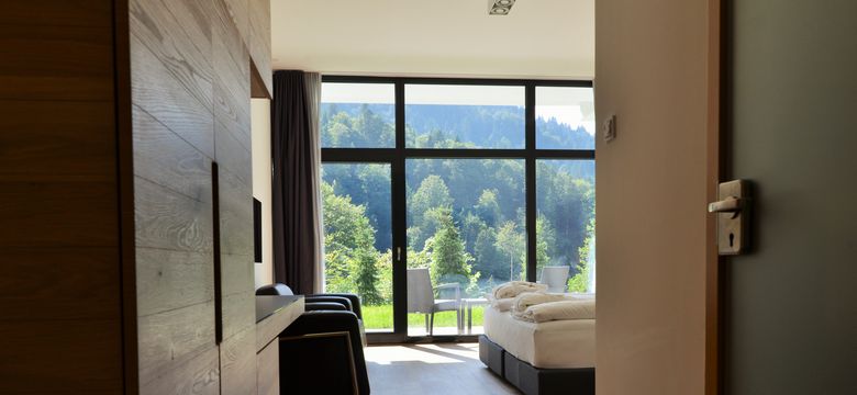 DAS GRASECK - mountain hideaway & health care: Room with terrace image #4