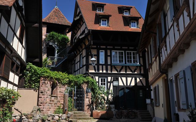 Gans. Wild(e). Auszeit image 3 - Hotel Sonne Gengenbach