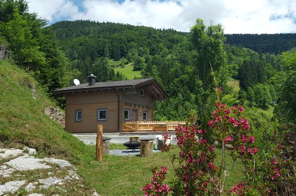 Sommer, Rengerberg Hütte, Bad Vigaun, Salzburg, Salzburg, Österreich