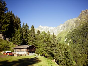 Tröglesalm - Tirol - Österreich