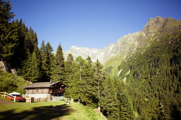 Sommer, Tröglesalm, Matrei in Osttirol, Tirol, Tirol, Österreich