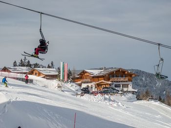 Alpine Lodge App. II - Styria  - Austria