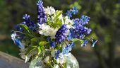 Bunter Blumenstrauß (Jahreszeit abhängig)