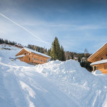Winter, Prenner Alm, Haus im Ennstal, Steiermark, Steiermark, Österreich