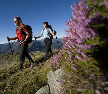 ****s Wellnesshotel Hotel Wöscherhof: ON POINT. hiking days