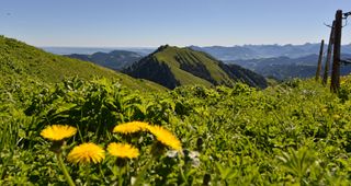 Biohotel Schratt: Berge im Allgäu
