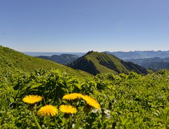 Biohotel Schratt: Berge im Allgäu