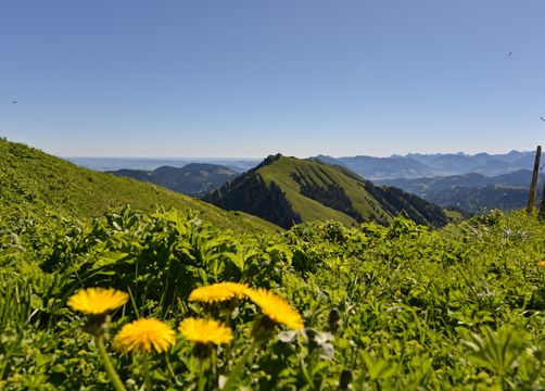 Biohotel Schratt: Berge im Allgäu - Berghüs Schratt, Oberstaufen-Steibis, Allgäu, Bayern, Deutschland