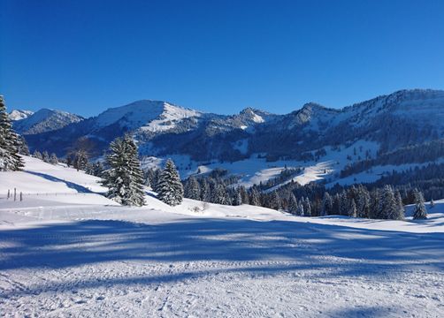 Biohotel Schratt: Naturpark Nagelfluhkette - Berghüs Schratt