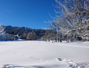 Biohotel Schratt: Winterurlaub in Oberstaufen