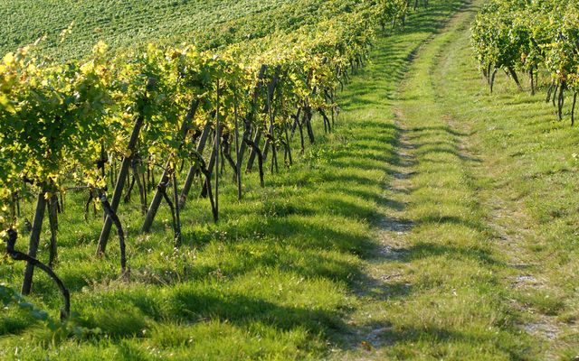 Natur trifft Wandern 1/1