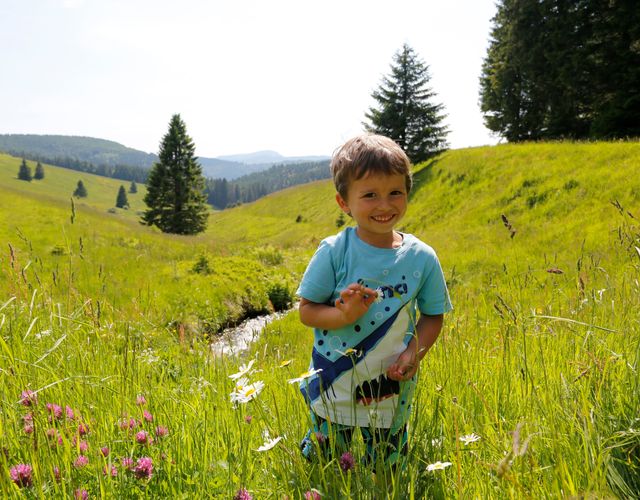 Angebot: Osterferien in der Bergwelt Schwarzwald - Hotel Engel