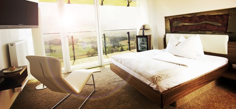 Hotel AVIVA make friends: Mehrblick single room image #1