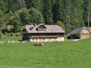 Almhütte Kuhgraben - Carinthia  - Austria