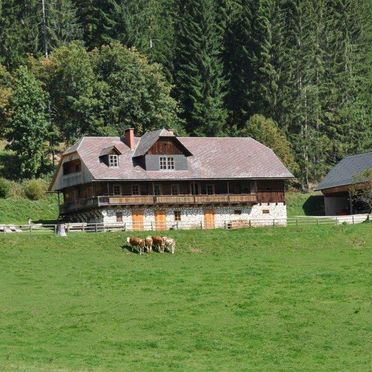 Sommer, Almhütte Kuhgraben, Bad St. Leonhard, Kärnten, Kärnten, Österreich