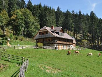 Almhütte Kuhgraben - Kärnten - Österreich