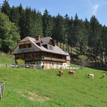 Sommer, Almhütte Kuhgraben, Bad St. Leonhard, Kärnten, Kärnten, Österreich