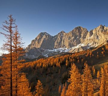 Offer: Autumn in the mountains - Hotel Schütterhof