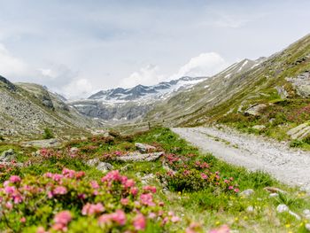 Landeckalm - Tirol - Österreich