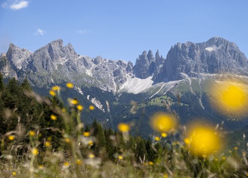 Biohotel Steineggerhof: Urlaub in Südtirol - Bio- und Bikehotel Steineggerhof, Steinegg, Dolomiten, Trentino-Südtirol, Italien