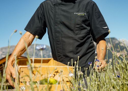 Biohotel Steineggerhof: Kräuterernte im Permakulturgarten - Bio- und Bikehotel Steineggerhof, Steinegg, Dolomiten, Trentino-Südtirol, Italien