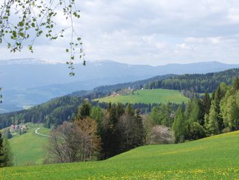 Langhans Hütte 1 - Carinthia  - Austria