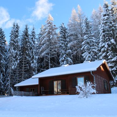 Winter, Langhans Hütte 2, St. Gertraud - Lavanttal, Kärnten, Carinthia , Austria