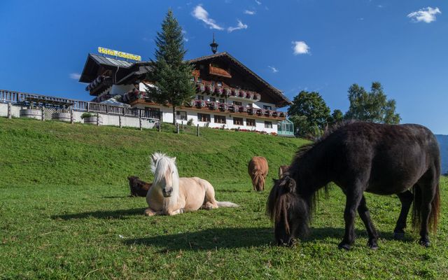 Seiterhof Bildergalerie