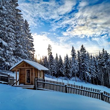 Winter, Almhaus Herzstück, Preitenegg, Lavanttal, Kärnten, Österreich