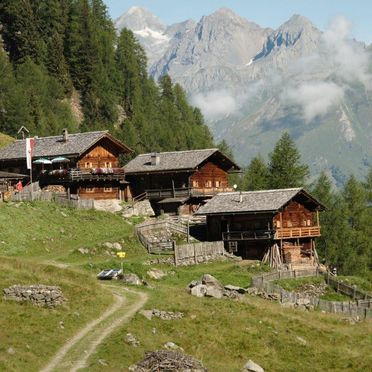 Summer, Arnitzalm, Matrei in Osttirol, Tirol, Tyrol, Austria