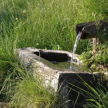 Drinking water fountain, Amberger Hütte, Paternion-Fresach, Nockregion, Carinthia , Austria