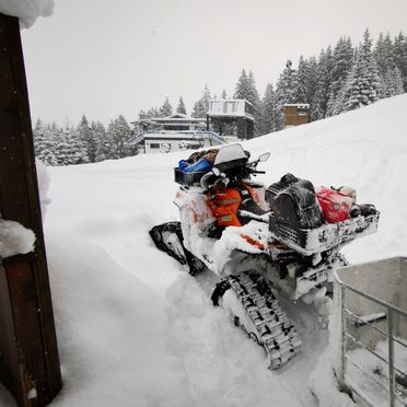 Gepäcktransport, Heideggalm, Forstau, Salzburg, Österreich