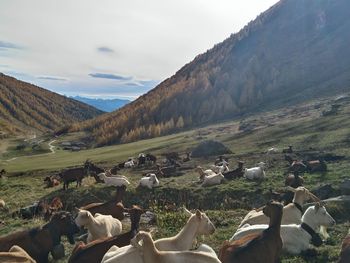 Oberpranterhütte - Trentino-Alto Adige - Italy