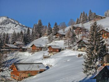 Chalet Jungfrau an der Ledi - Bern - Schweiz