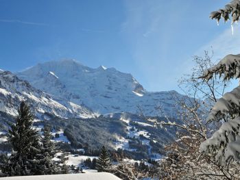 Chalet Zwärgli - Bern - Schweiz