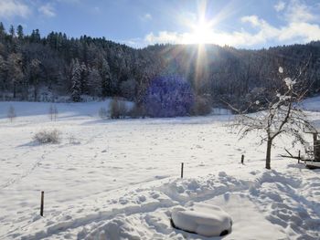 Schwarzwaldhütte Bistenhof - Baden-Württemberg - Deutschland