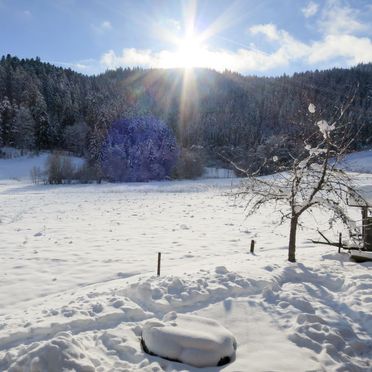 Außen Winter 22, Schwarzwaldhütte Bistenhof, Hinterzarten, Schwarzwald, Baden-Württemberg, Deutschland