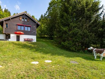 Ferienchalet de la Vue des Alpes im Jura - Jura - Schweiz